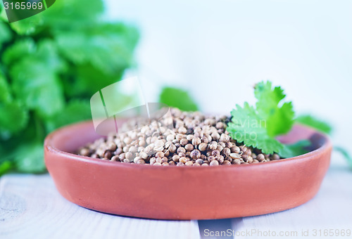 Image of coriander