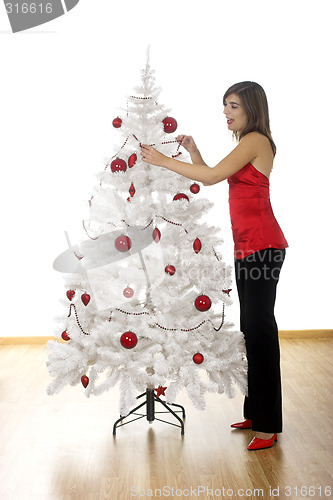 Image of Christmas beauty