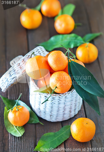 Image of tangerines