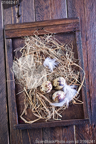 Image of quail eggs