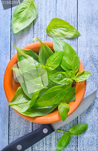 Image of fresh basil