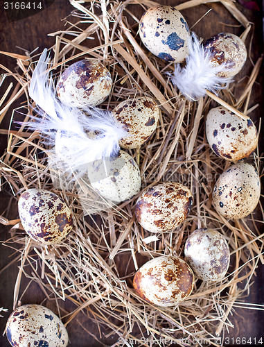 Image of quail eggs