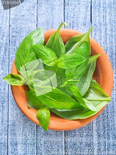 Image of fresh basil