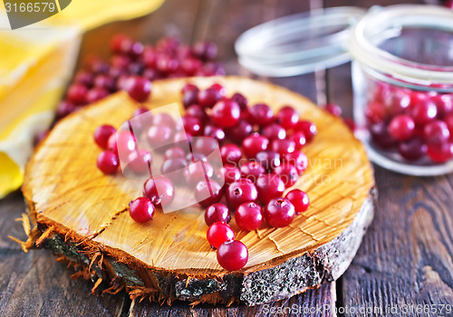 Image of cranberry