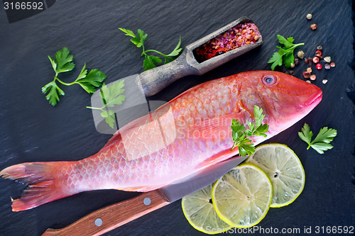 Image of raw fish