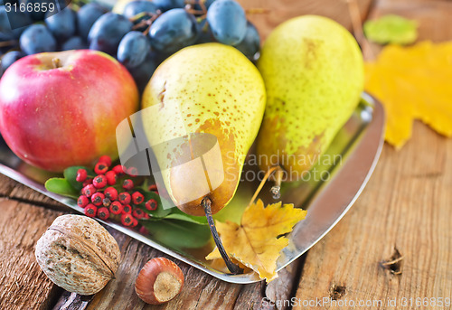 Image of autumn harvest