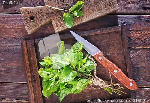 Image of fresh mint