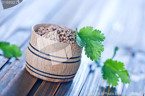 Image of coriander