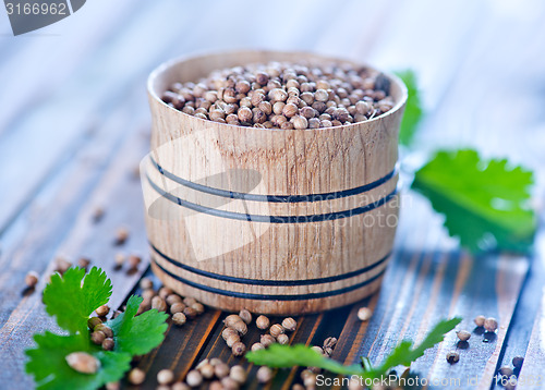 Image of coriander