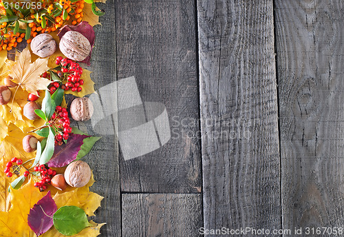 Image of autumn harvest