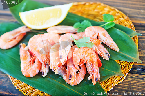 Image of shrimps