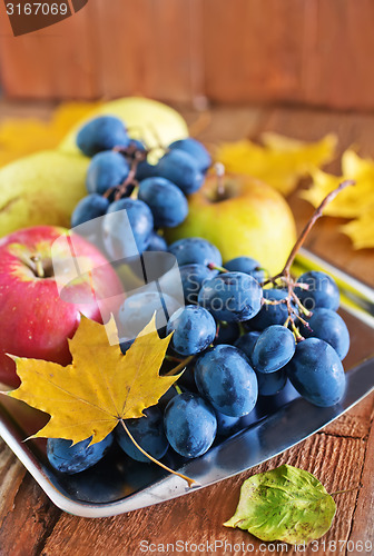 Image of autumn harvest