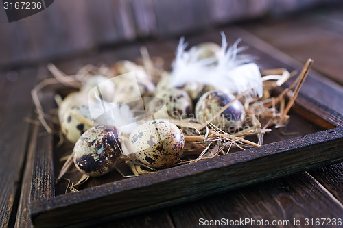 Image of quail eggs