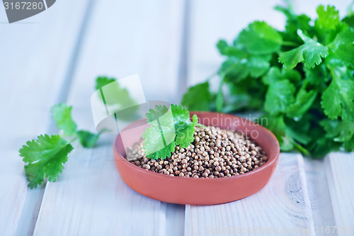 Image of coriander