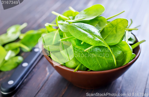 Image of fresh spinach