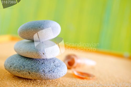 Image of sea shells and stones