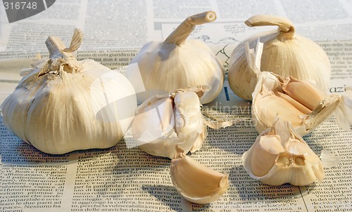 Image of Garlic