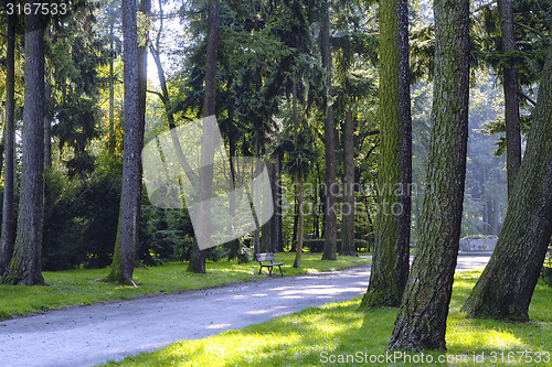 Image of Sunny path in park