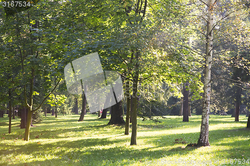 Image of Sunny path in park