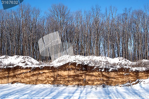 Image of Winter in the woods