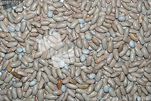 Image of beans