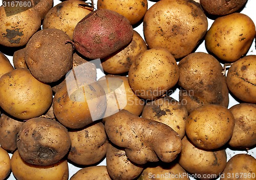 Image of potatoes