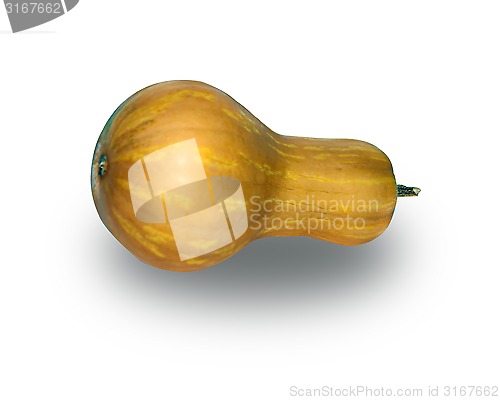 Image of courgette