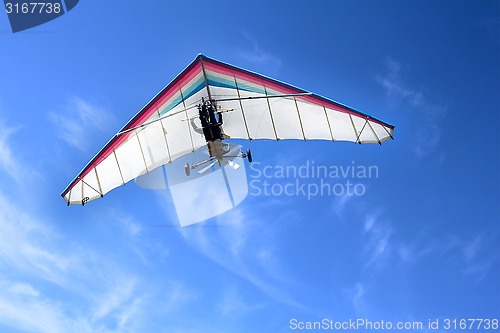 Image of Hang glider