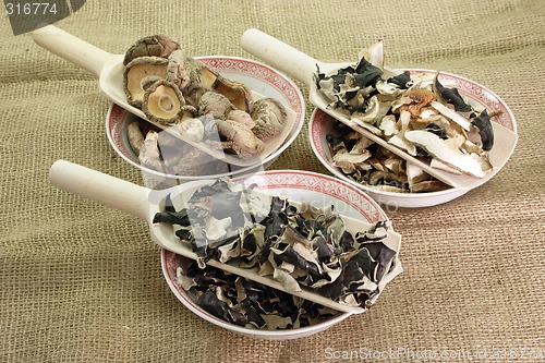 Image of Chinese Mushrooms