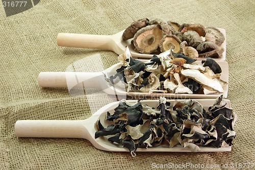 Image of Dried asia Mushrooms