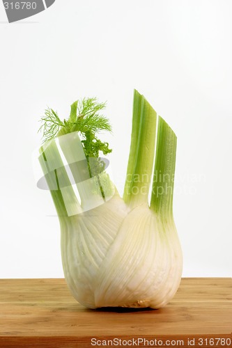 Image of Fennel on kitchen board