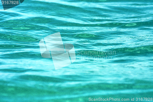 Image of thailand in water    tao bay  south china sea