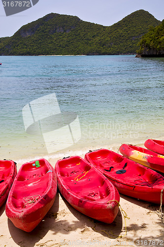 Image of  boat coastline of a  green lagoon and tree   