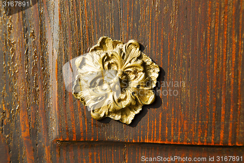 Image of gold    house  door     in italy  lombardy          closed  nail