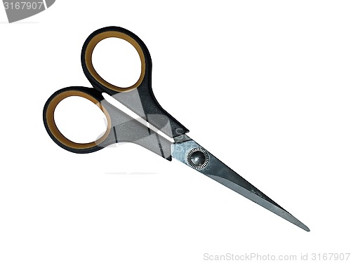 Image of scissors