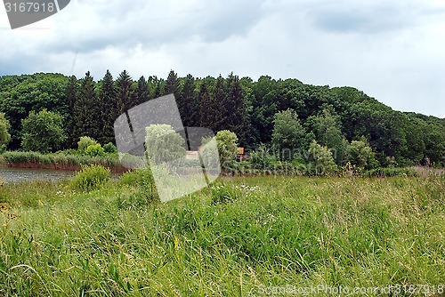 Image of summer nature
