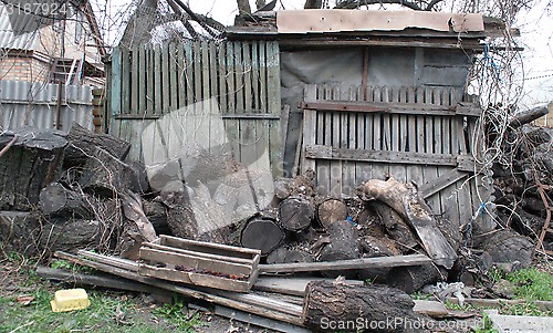 Image of trimming the tree