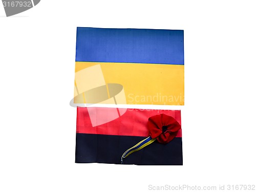 Image of Ukrainian and revolutionary flag