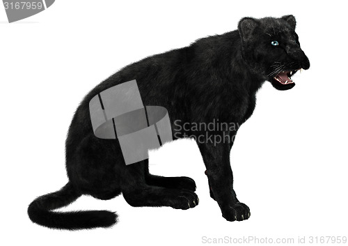 Image of Black Panther