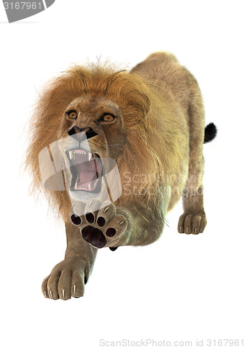 Image of Lion