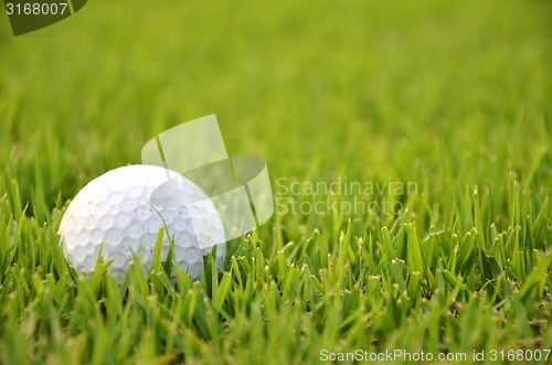 Image of Dirty golf ball on the grass 
