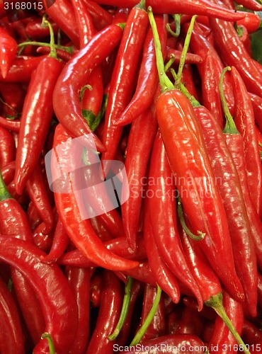 Image of Chili pepper 