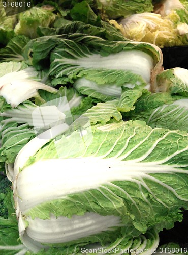 Image of White cabbage