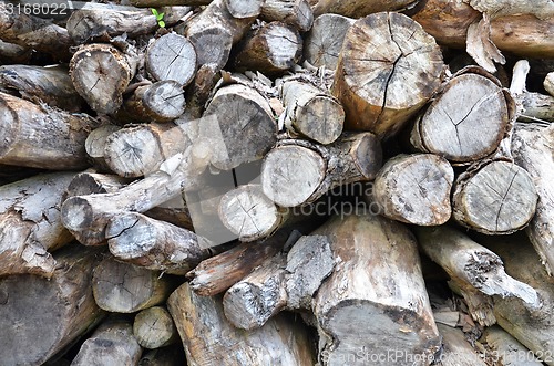 Image of Dry chopped firewood logs stacked up in a pile