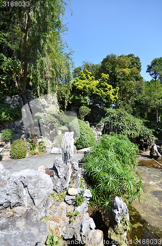 Image of Walk way in the garden