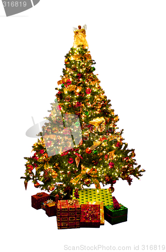 Image of Isolated Christmas tree