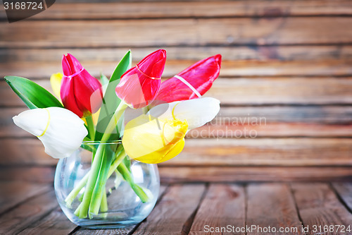 Image of tulips