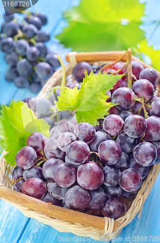 Image of grape