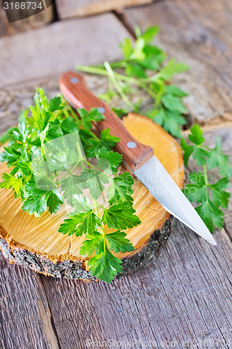 Image of fresh parsley
