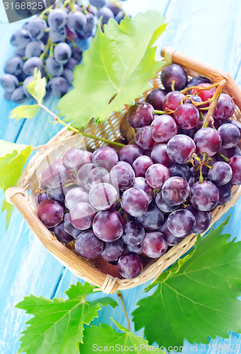 Image of grape